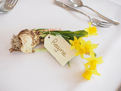 yellow daffodils on white surface thumbnail