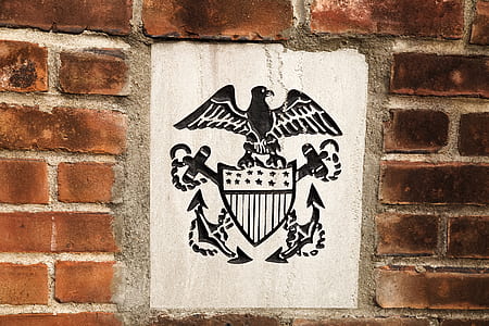 eagle print white textile thumbnail