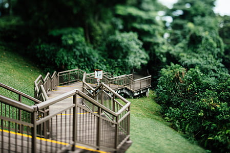 selective focus photography of stairways thumbnail