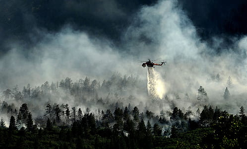 helicopter spraying on green forest thumbnail