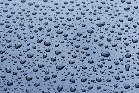 closeup photo of a dew drops thumbnail