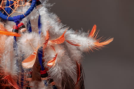 orange and white feather closeup photo thumbnail