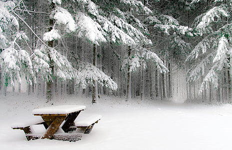 brown wooden picnic table thumbnail