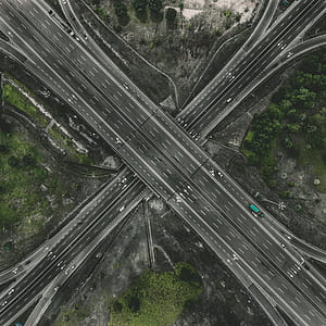 gray road structure between trees thumbnail