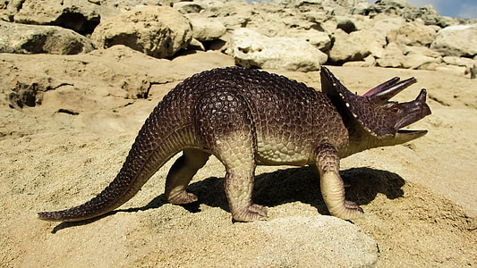 photography of brown rhino toy thumbnail