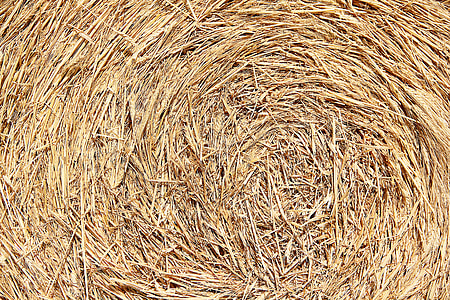 close-up photo of hay bale thumbnail
