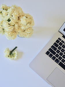 Photo of Yellow Flower Bouquet and White and Black Laptop Computer thumbnail