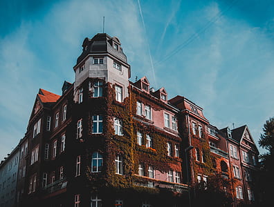 building, architecture, windows, apartment thumbnail
