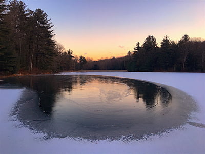 body of water near trees during golden hour thumbnail