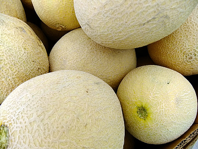 muskmelon lot thumbnail
