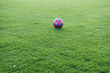 red and blue soccer ball on grass field thumbnail