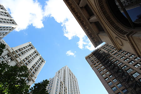 Low-angle View of High-rise Buildings thumbnail