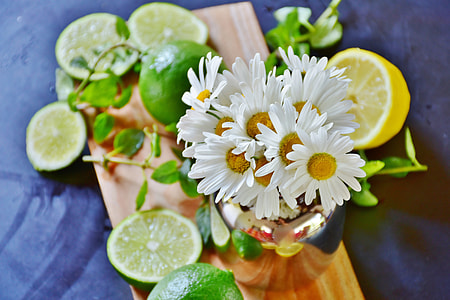 shallow focus photography of white daisy in vase thumbnail