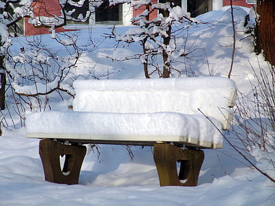 white and brown wooden bench covered with white snow near brown bare trees at daytime thumbnail