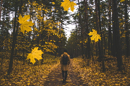 person wearing brown coat walking near trees during daytime thumbnail