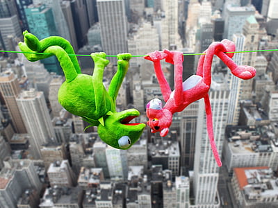 Pink panther and Kermit the frog plush toys on green string across city building thumbnail