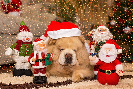 Santa Claus figurines thumbnail