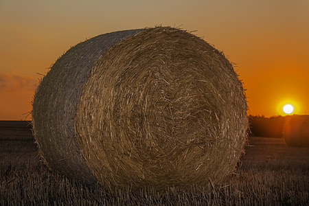 rolled hay during sunset thumbnail