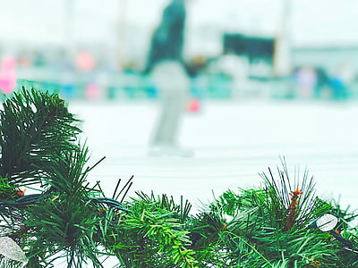 shallow, focus, photography, green, garland, christmas thumbnail