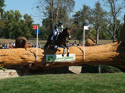 Weg, World Equestrian Games thumbnail