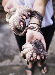 Person Holding Two Octopus thumbnail