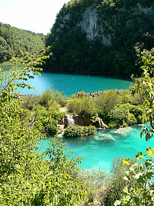 body of water surrounded by trees during daytime thumbnail
