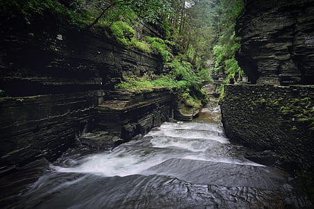 nature, water, creek, stream thumbnail