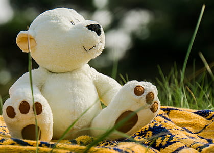 white bear plush toy thumbnail