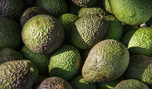 avocado fruit lot thumbnail