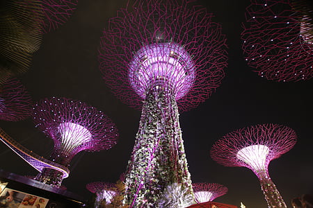 Supertree Groove, Singapore thumbnail