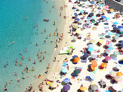people at beach during daytime thumbnail