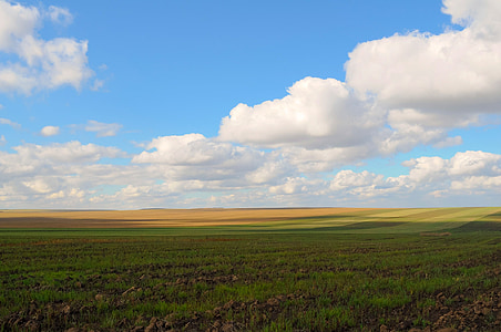 photo of a green grass and cloudy sky thumbnail