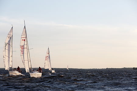 several white sailboats in the ocean thumbnail