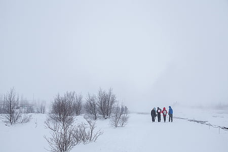 group of four people walking on snow thumbnail