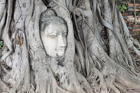 Thailand, Buddha Statues thumbnail