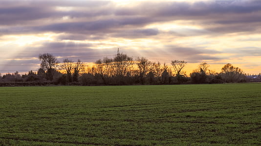 Scenic View of the Field thumbnail