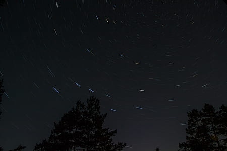 trees during night time thumbnail