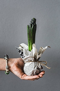 Woman planting seedlings on a newspaper covered table with quail eggs thumbnail