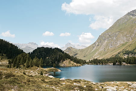 body of water near trees thumbnail