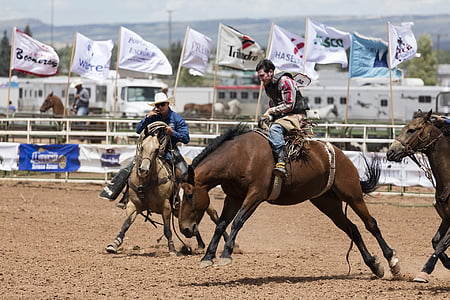 man riding brown horse thumbnail