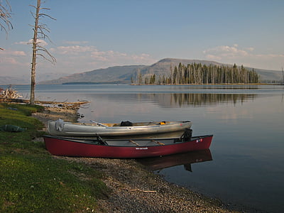 gray speedboat on body of water thumbnail