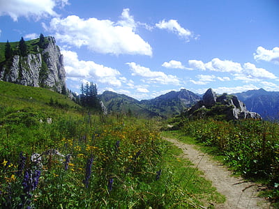landscape mountain top thumbnail
