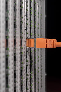 orange UTP cable in close-up photography thumbnail