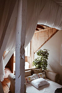 gray fabric sofa bed inside the brown and white room thumbnail