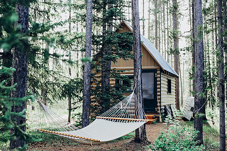 beige wooden cabin house center field in forest near white hammock at daytime thumbnail