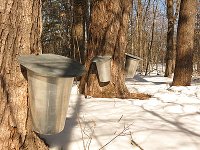 gray trash bin mounted on tree thumbnail