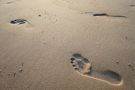 footprint on sand thumbnail