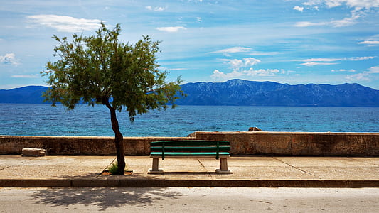 green wooden bench beside tree thumbnail