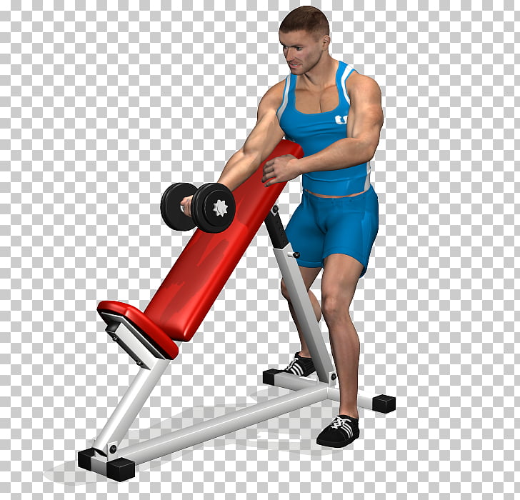 Biceps Curl Bench Dumbbell Arm Dumbbell Png Clipart Free