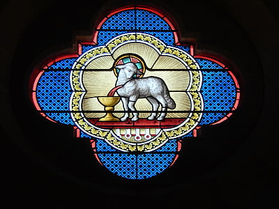 white lamb decor thumbnail